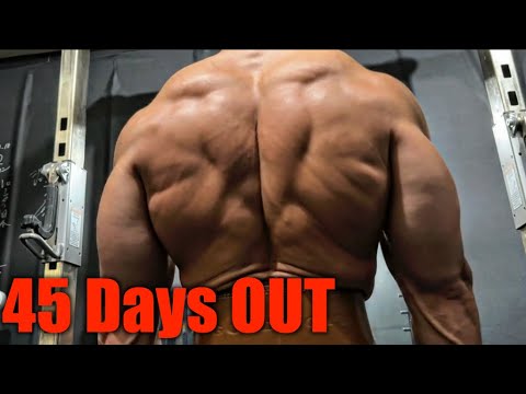 筋肉全振りしたらマジで背中変わった！！ここから質感を更に上げて究極の絞りを目指す！！！