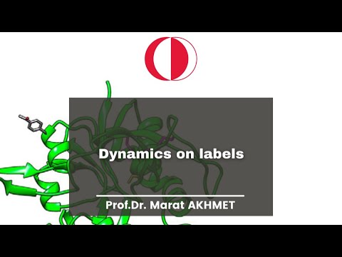 Dynamics on labels | Prof. Marat AKHMET