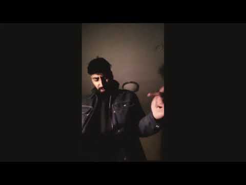 Mr.Landy - High wie ein Megalodon 🦈