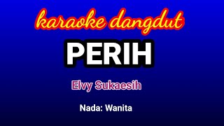 Download lagu Perih Elvy Sukaesih Karaoke... mp3