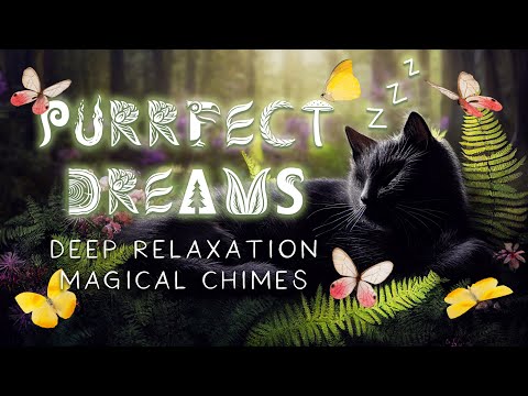 Purrfect Dreams - 1 Hour Healing Purr Sound Bath 🐱🎶✨