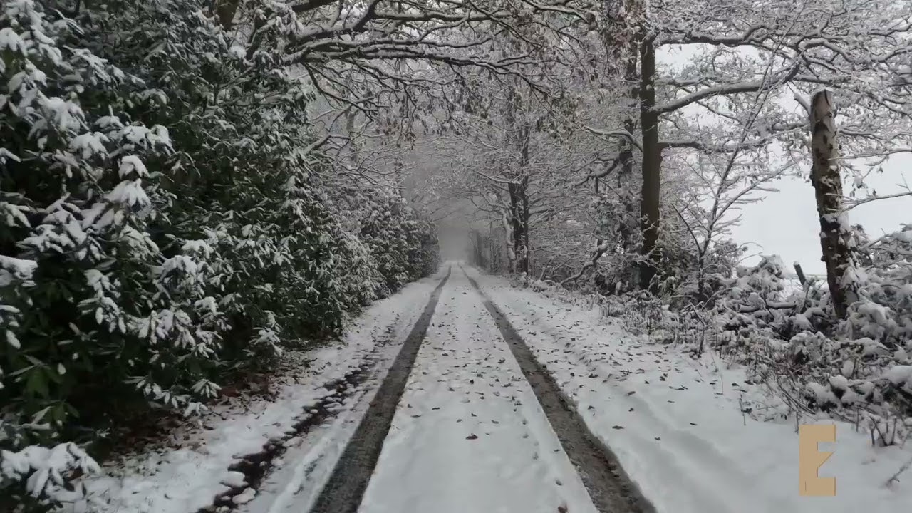 Stocktale 6 - Video ramblings