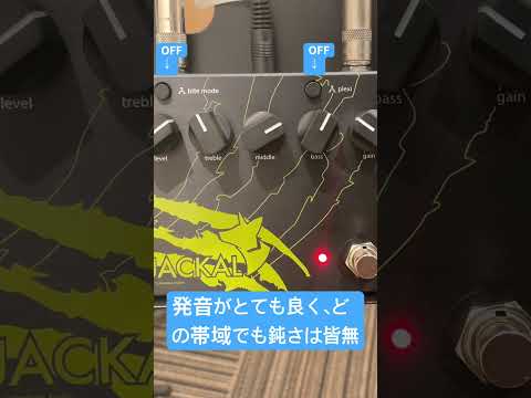 Limestone Audio Jackal 2022 - Orange covering image 6