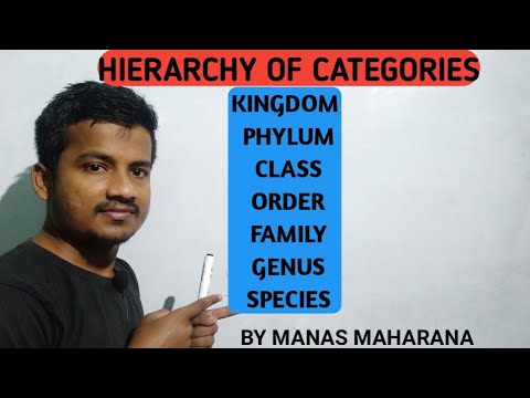 Class 11 biology Hierarchy of categories | kingdom,...