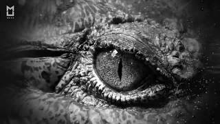 [Electronic] We&#39;re All Gonna Die - DJMAX OST