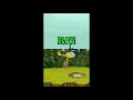 Nintendo DS Longplay Open Season Part 1 Of 8