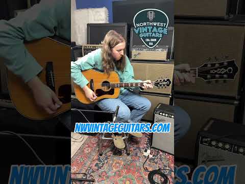 *Video* Canyon W-60 Lawsuit Era Guild Style Dreadnought Made in Japan by Yamaki - 1970's image 24