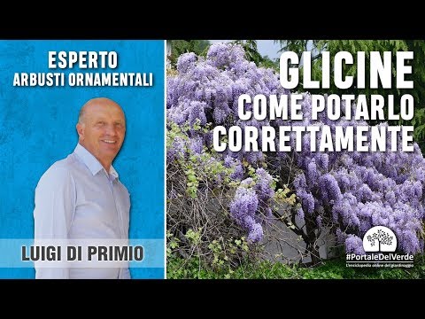 Le cause di ernie dei dischi intervertebrali Una pomata per il trattamento di malattie degenerative del disco