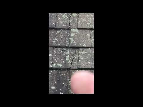 Shingle Roof Inspection- Yardley, PA.