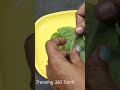 நாள்பட்ட நெஞ்சு சளி இருமல் ஆஸ்துமா க�