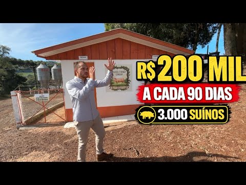 R$ 200 MIL com granja… mas não é tão simples