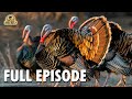 Wild America (1988) | S10 E9 'Wild Turkey - Part 1' | Full Episode | FANGS