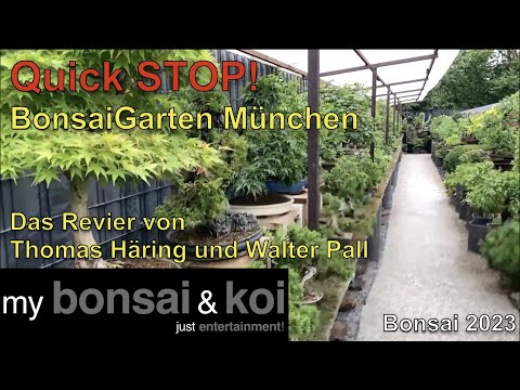 Bonsai 2023-41 - QUICK STOP! - Bonsai Garten München - Das Revier von Thomas Häring und Walter Pall