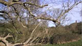 Blue stuff in the Sky over Glastonbury! mid march 2013