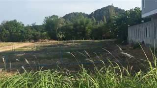 2 Rai Land Plot for Sale Ready to be Developed in Sai Thai, Krabi