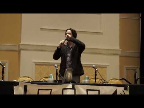 MAGfest 12 (2014): Egoraptor panel