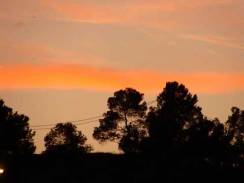 Highwater Rising - Pillows and Records