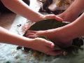 Ancient Manicure Pedicure By Kona Botanicals