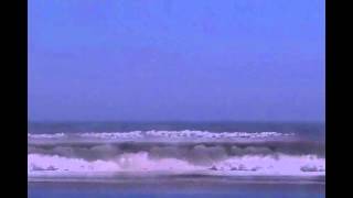 We Learned The Sea --      Dar Williams