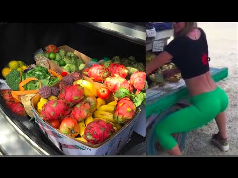 What's in my trunk? How much fruit we eat in a week on raw till 4