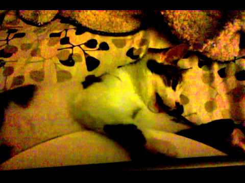 June 8, 2011 11:34 PM