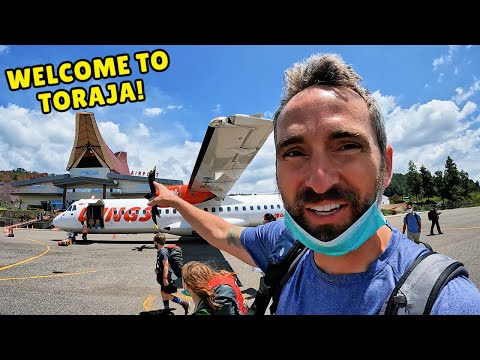 Voo de $ 45 para Tana Toraja 🇮🇩 | Makassar para Tana Toraja