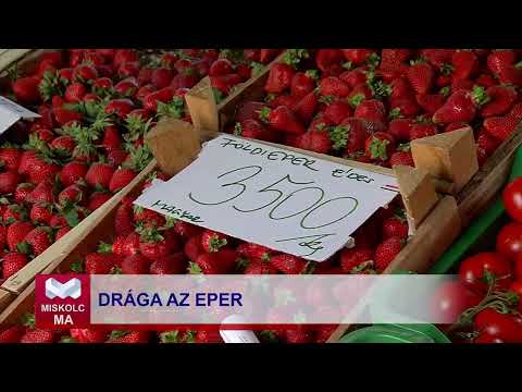 Videó előnézet
