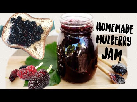 HOW TO MAKE MULBERRY JAM|| Homemade Mulberry