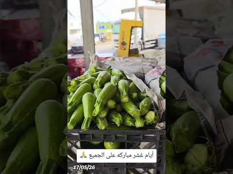 דאהש מפתיע במבצע חדש
