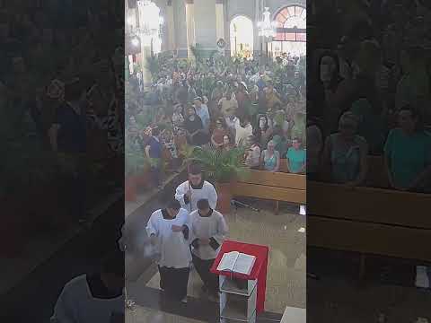 Domingo de Ramos 2026 - Igreja Matriz São João Batista- Arceburgo - MG