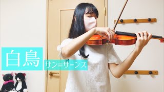 Download lagu サン=サーンス　白鳥　Saint Saëns The Swan（Le cygne）　ヴァイオリン　弾いてみた mp3