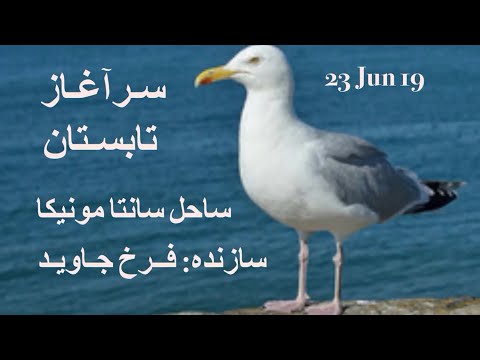 F. Javid Videos, Summer at the Sea