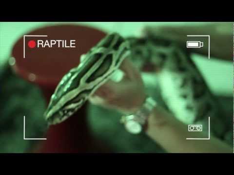 BAD BOY court métrage (introduction clip RAPTILE)Toumba ft Led-k