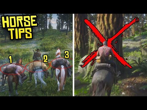 YouTube video about: How to whistle for horse rdr2?