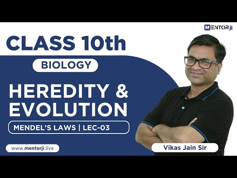 Class 10th Biology - Mendel's Laws in Chapter 8 - Heredity and Evolution | MentorJi