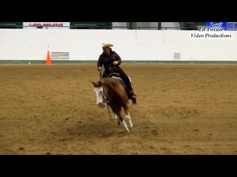 Peggy Lovejoy & White Noise - NRHA Limited Non Pro at NCRHA Extravaganza - June 3, 2016