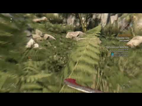 Revisiting dying light