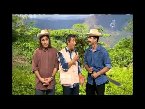 Noticiero Nacional de TN3 - América TeVé