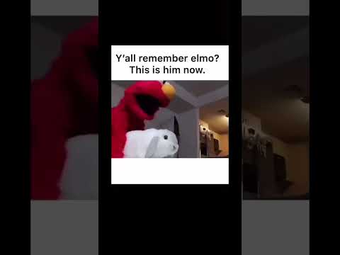 Elmo Meme Wallpaper