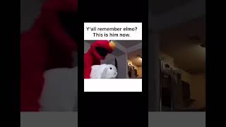 Elmo Festa Difícil -Elmo Party Hard #elmo #festa #party #weekend