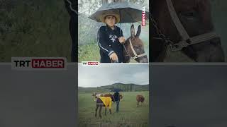 Yozgat'ta hayvanları otlatırken yağmura yakalanan 13 yaşındaki çocuk, 