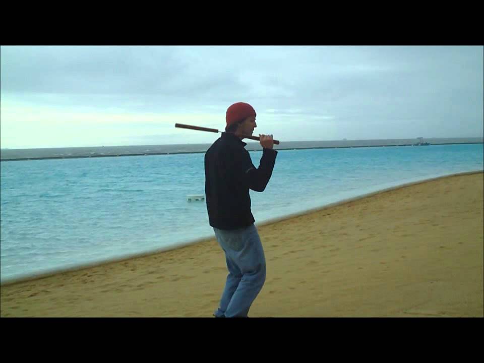 Inverse dolphin aerial