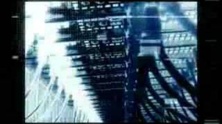 Boris Divider - Especie Digital