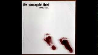 Little Man - The Pineapple Thief