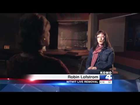 Nitwit Lice Removal | Seattle lice treatment