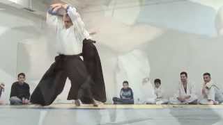 preview picture of video 'Aleksandar Lukovic AIKIDO'