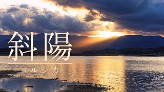 - 斜陽(ヨルシカ) - covered by sawa