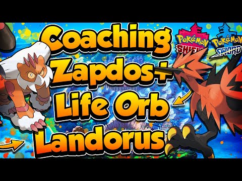 Coaching Zapdos With Life Orb Landorus! - Pokémon Sword and Shield Competitive Ranked Double Battles