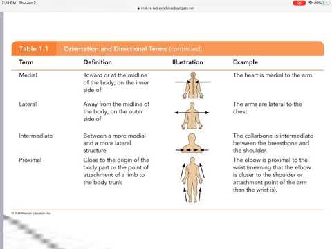 Anatomical Position and Directional Terminology Video