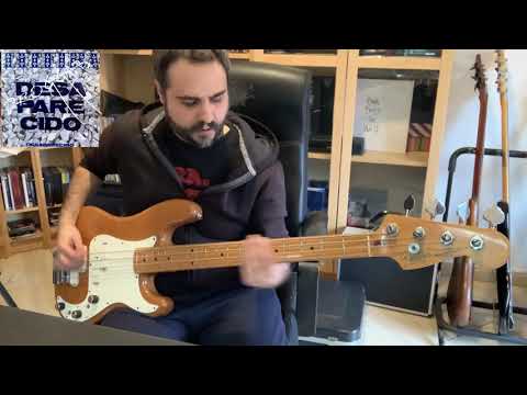 Litfiba - Lulù e Marlene Bass Cover